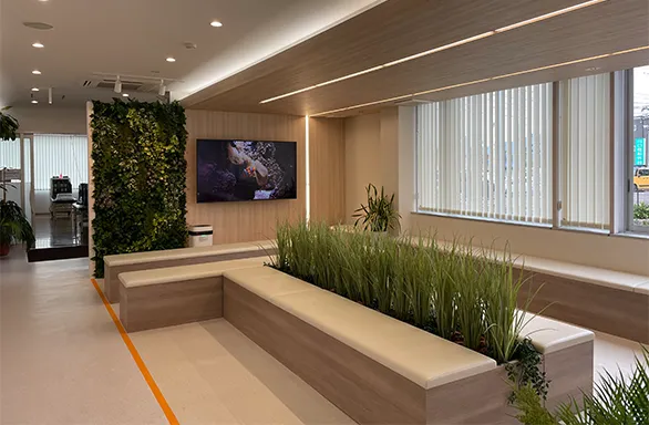 写真：窓際の壁一面と仕切り壁、通路を挟んでそれぞれにソファが設置してある。室内の真ん中にあるソファは背中合わせになる部分に植物が植えられている。仕切り壁には大型のテレビとその横には床から一番上まで植物の葉で覆われている