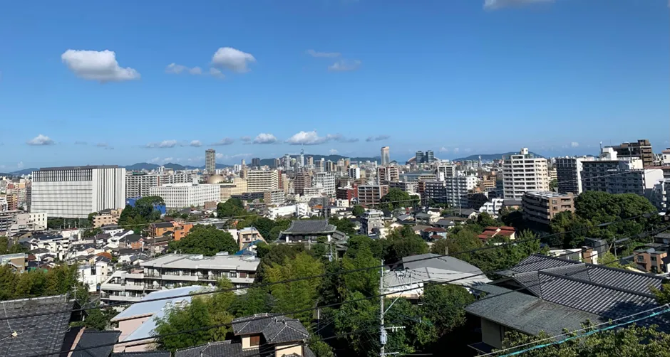 写真：高台から見た桜坂周辺の景色